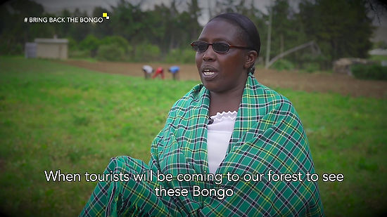 Bongo Return to Kenya